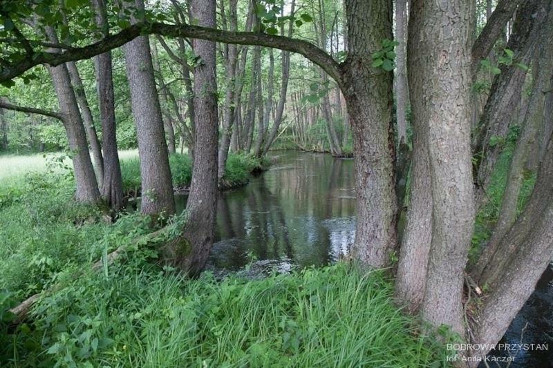 Bobrowa Przystan Holiday home Czechyn